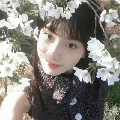 下一站彩虹国语