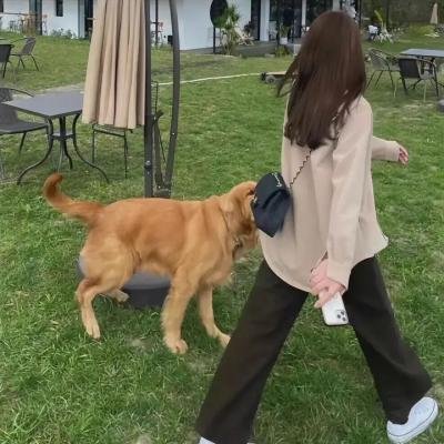 80后的独立宣言